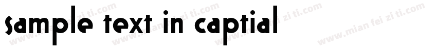 sample text in captial字体转换